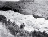 The Pink Terraces, Lake Rotomohana, Rotorua 