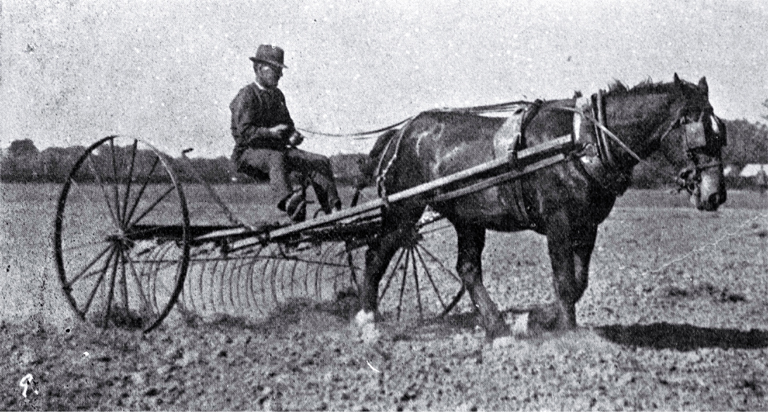 Wrestling with the twitch : raking up after ploughing to burn off later at the new soldiers' settlement near Avonhead.