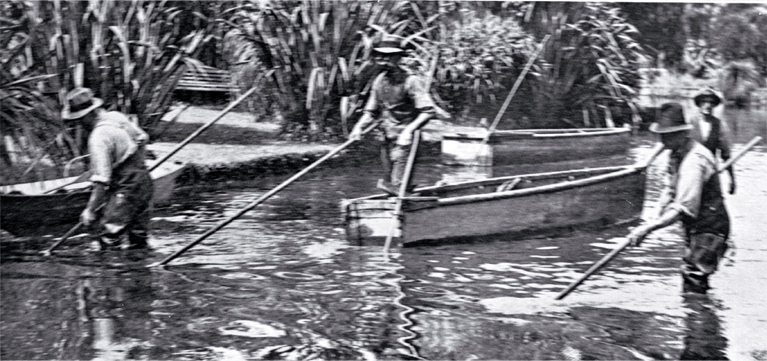 Clearing weed from the Avon River by wading and by punt, Christchurch 