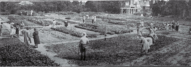 Women's Land Army plots, Abberley Park, St Albans 