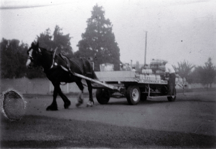 Wartime milk delivery, corner Alpha Avenue and Normans Road, Bryndwr, Christchurch 