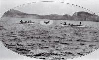 An exciting moment as a boat's crew approach a harpooned whale to lance it 