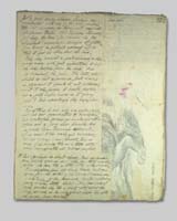 Burke Manuscript Page 265 