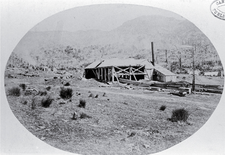 Saw mill at Pigeon Bay : George Holmes' sawmill set up to cut timber under contract for the Lyttelton Tunnel. Saw mill at Pigeon Bay : George Holmes' sawmill set up to cut timber under contract for the Lyttelton Tunnel.