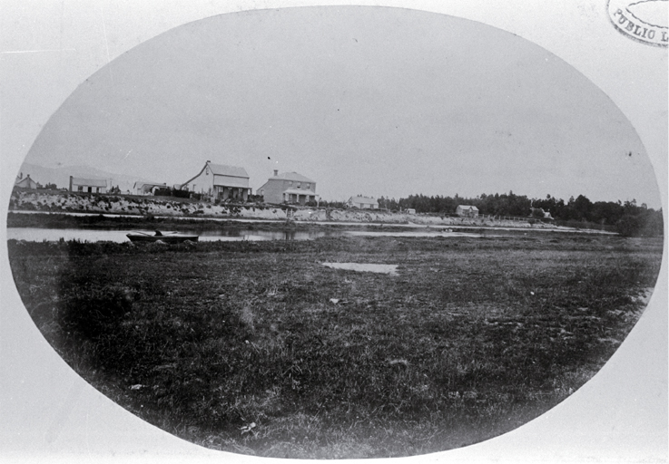 Houses along Avonside Drive and the Avon River, Christchurch 