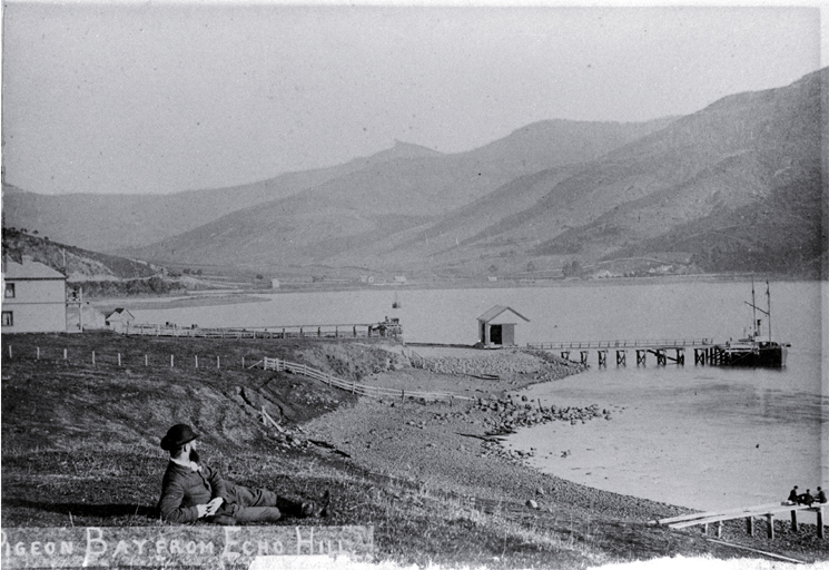 Pigeon Bay, Banks Peninsula, from Echo Hill 
