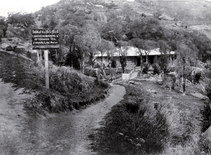 Sign of the Bellbird 