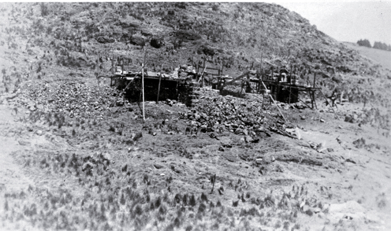 Sign of the Kiwi being built 
