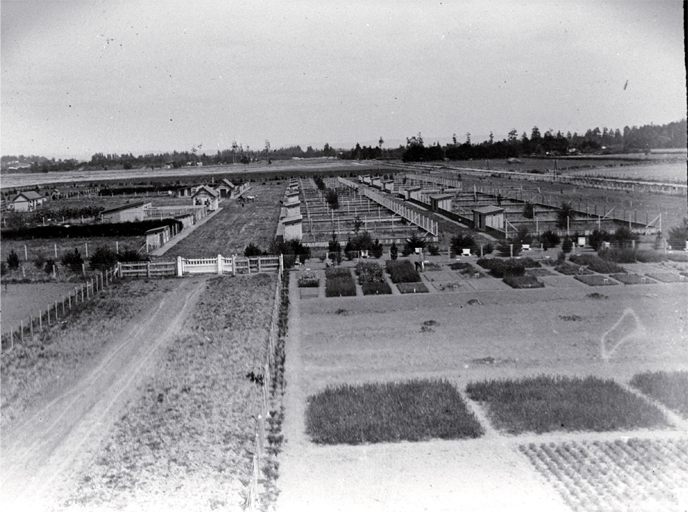 Ruakura Experimental Station in agriculture 