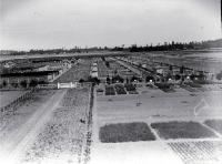 Ruakura Experimental Station in agriculture 