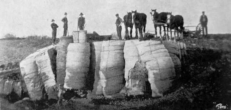 The contractor (Mr. J. Campbell, of Ellesmere) and his gang of men.