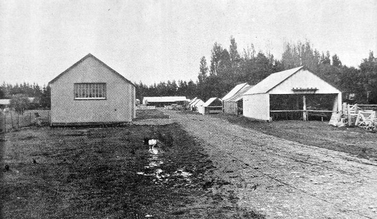 Some of the outbuildings.