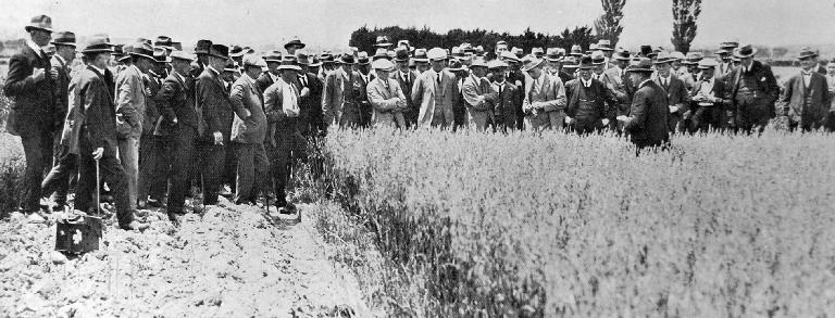 A field lecture by the Lincoln College biologist, Dr. Hilgendorf