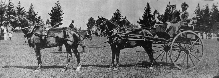 Mr G. E. Rhodes's first prize tandem team, Jack and Jill.