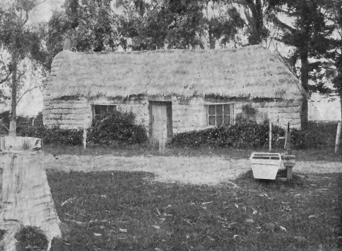 A landmark at Doyleston: an old sod whare, the property of Mr John Rennie, of Doyleston.