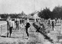 The vegetable garden and grass plot.