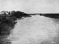 The Selwyn as seen from the Coalgate bridge, looking east.