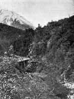 The White Bridge, Bealey Gorge.