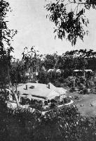 A beautiful South Island homestead. Northbank Station, Rakaia, Canterbury, the beautiful homestead of Mr J. Penny.