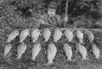 A splendid catch. The accompanying photograph represents the result of two nights’ fishing on the Lower Selwyn.