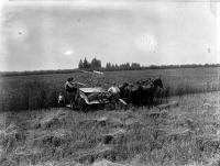 Taking a break from reaping at harvest time on the Moderate farm, Bennetts district, Canterbury