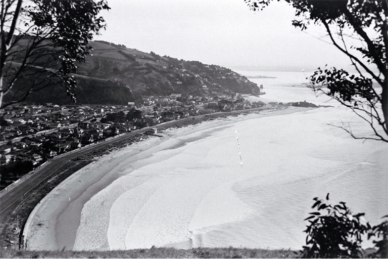 Sumner beach from Scarborough Hill with Cave and Shag Rocks in the distance 