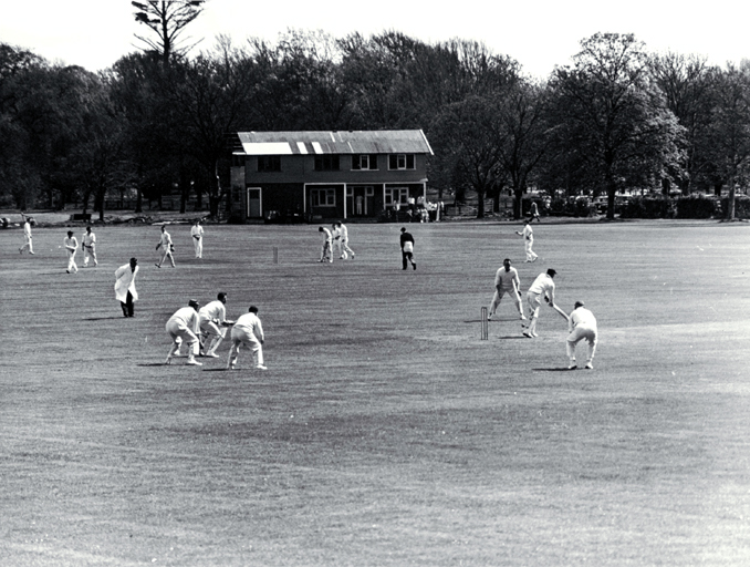 Two cricket matches under way in Hagley Park 