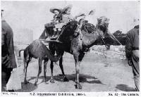 The camel ride including two young travellers at the New Zealand International Exhibition 1906-1907 