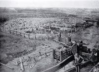 Sheep-washing and drying yards, Longbeach, on the property of John Grigg 
