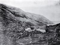 Menzies Bay, Banks Peninsula 