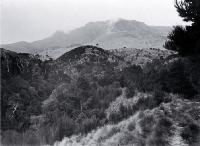 Mount Herbert from Summit track 