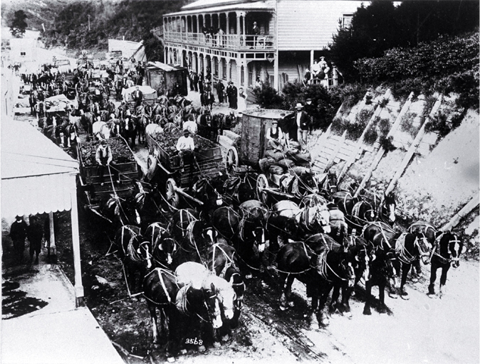 Wagons and horse teams hauling coal through Brunnerton on the West Coast 