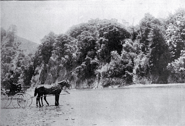 A horse and carriage on the Cheviot-Kaikoura coach road at the point at which the Conway River is crossed, North Canterbury 