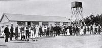 Opening of the Leeston Bowling Green, Leeston, Canterbury 