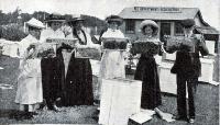 Demonstration of the handling of bees.