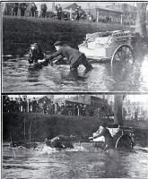 A horse bogged in the Avon River, Christchurch 