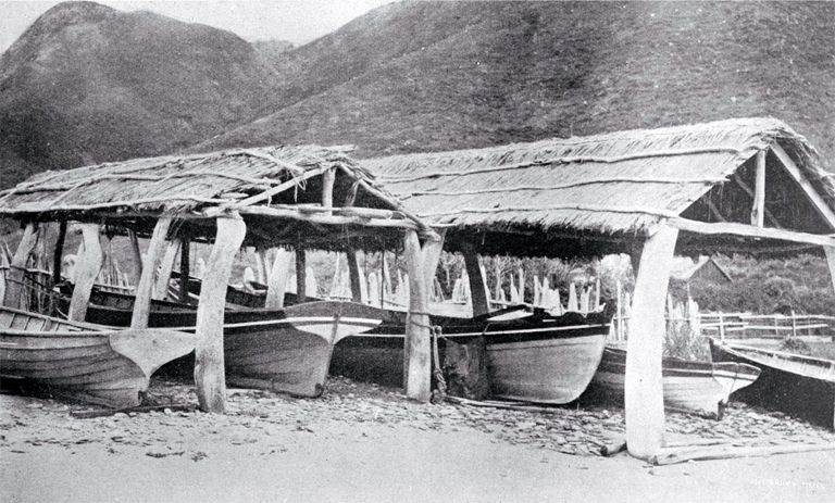 A fleet of whale boats at Te Awhaiti at the entrace to Tory Channel from Cook Strait 
