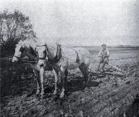 Ploughing with horses in the Lower Styx Road region 