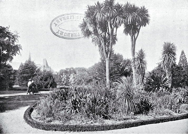 Christchurch Domain : a portion of the garden.