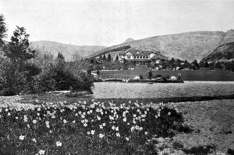 A distant view of Otahuna House, with Narcissi in the foreground.